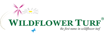 Wildflower Turf